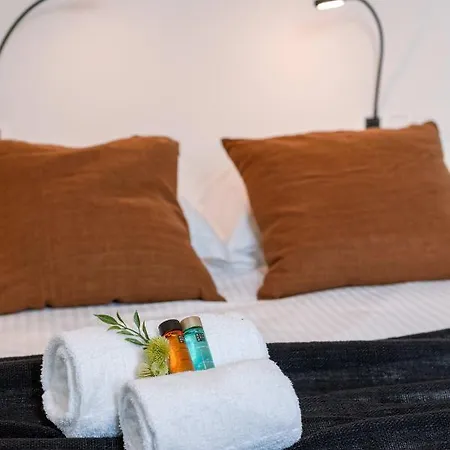 Duplex-apartment With Terrace On Location In Gent